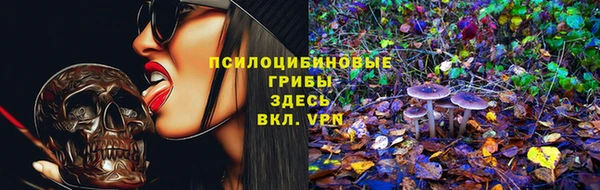 твердый Белоозёрский