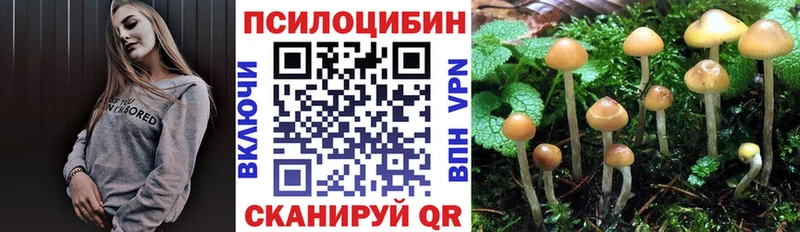 Псилоцибиновые грибы MAGIC MUSHROOMS Покровск